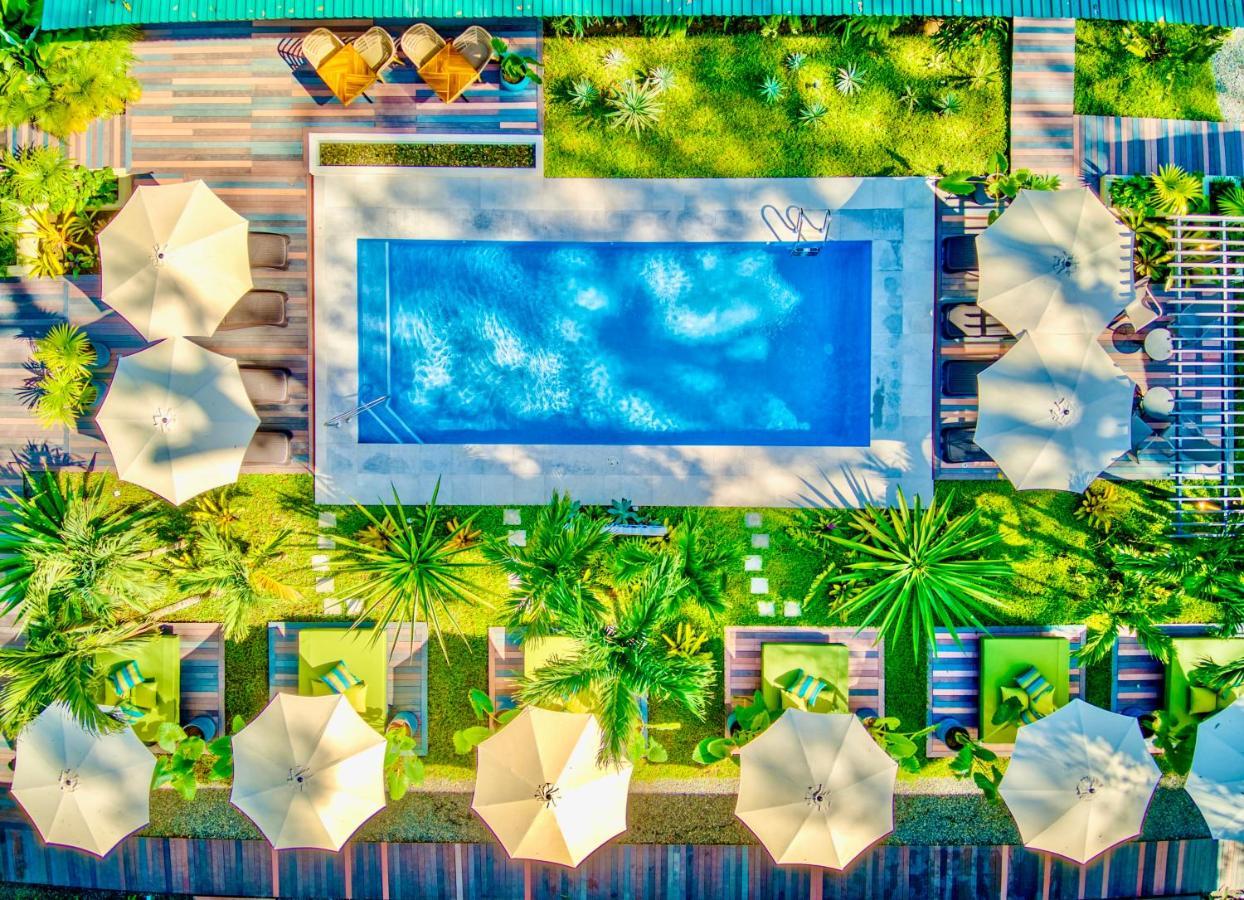 Exotico Beach Hotel Puerto Viejo de Talamanca Esterno foto